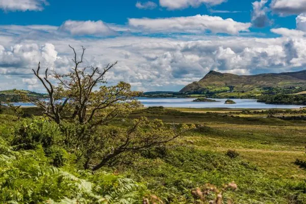 Lake and mountain in Connemara