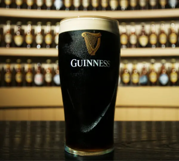 Dublin City private tour