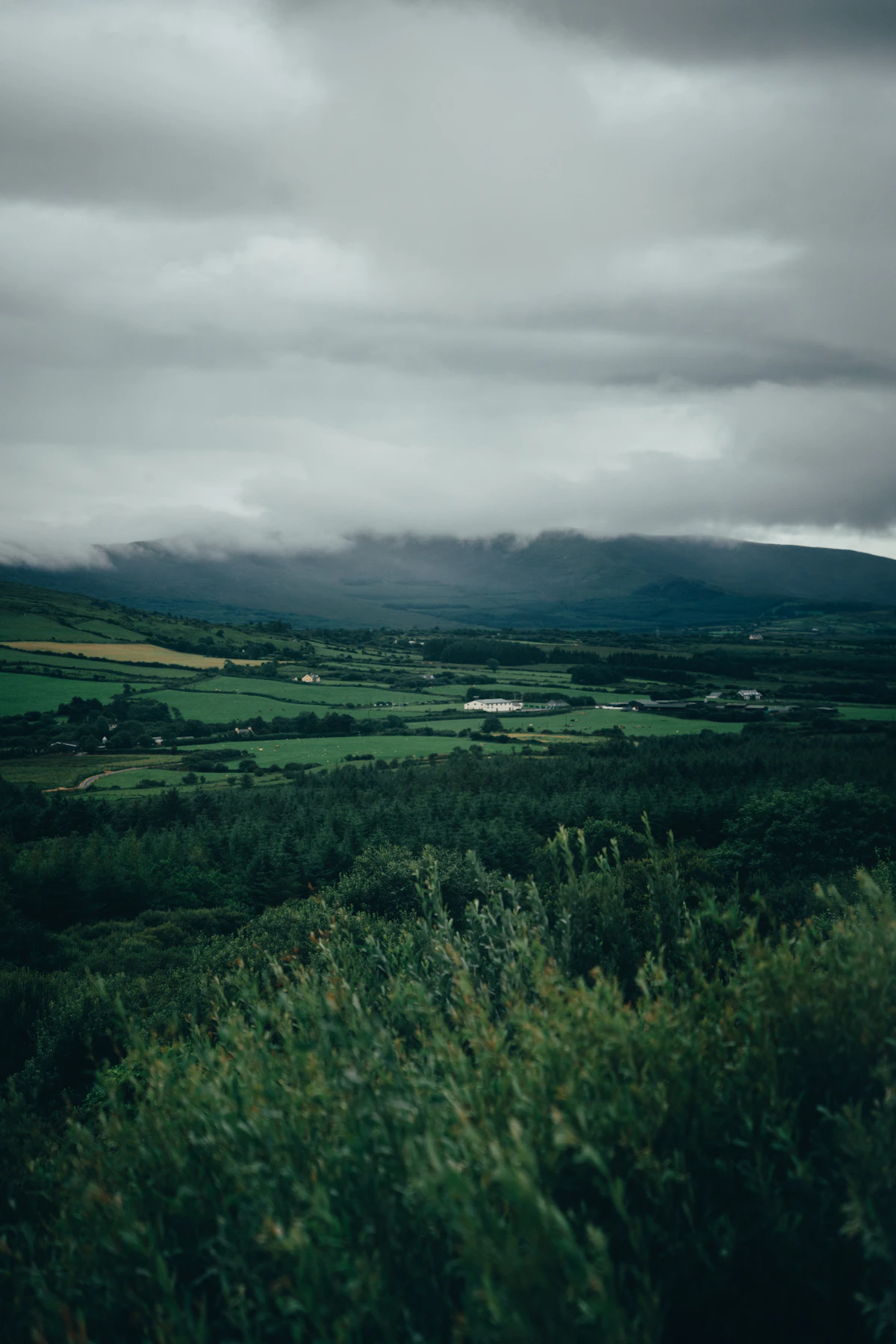 Green hills of Kerry on private tour